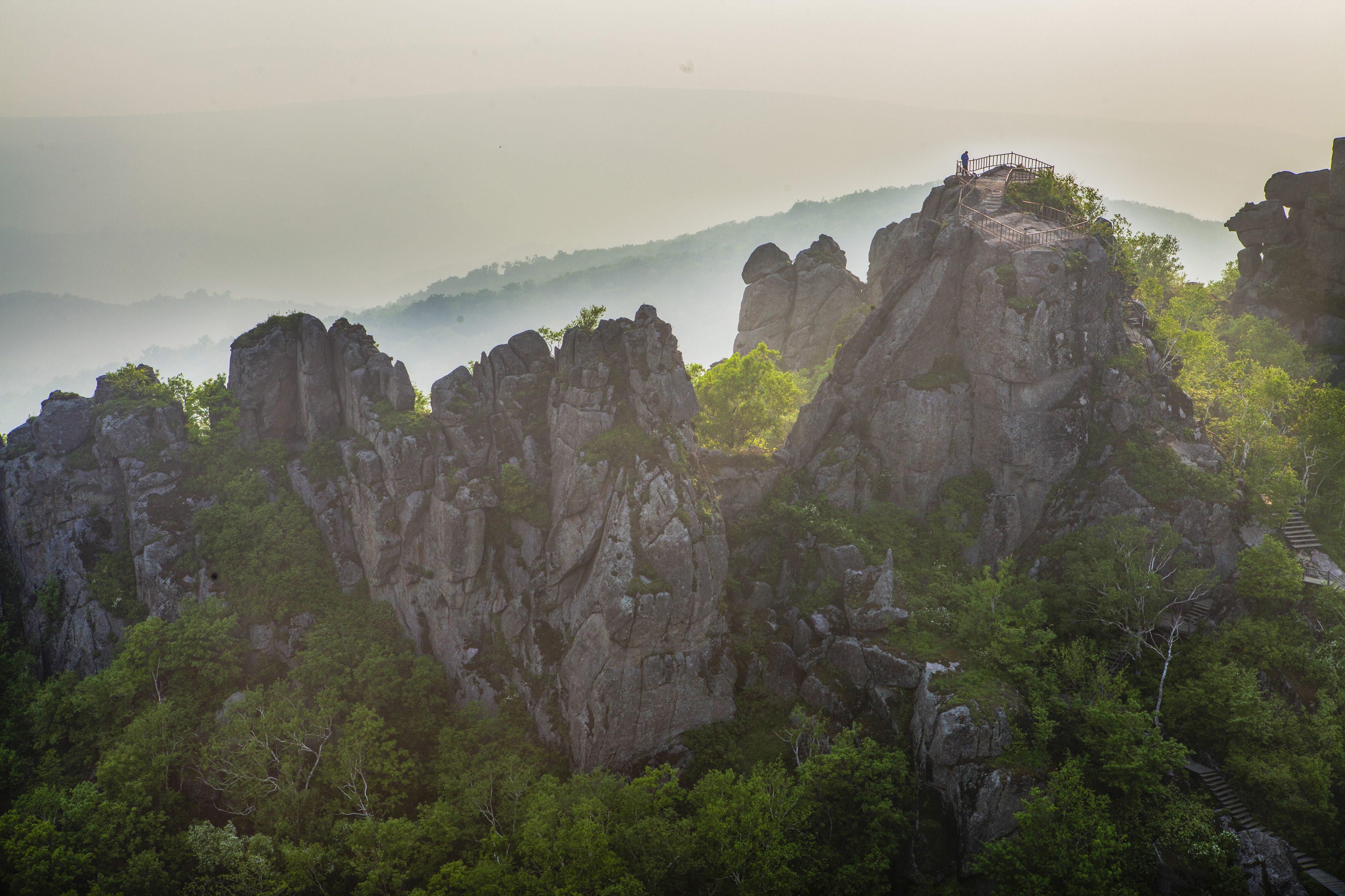 _MG_0632_1.jpg
